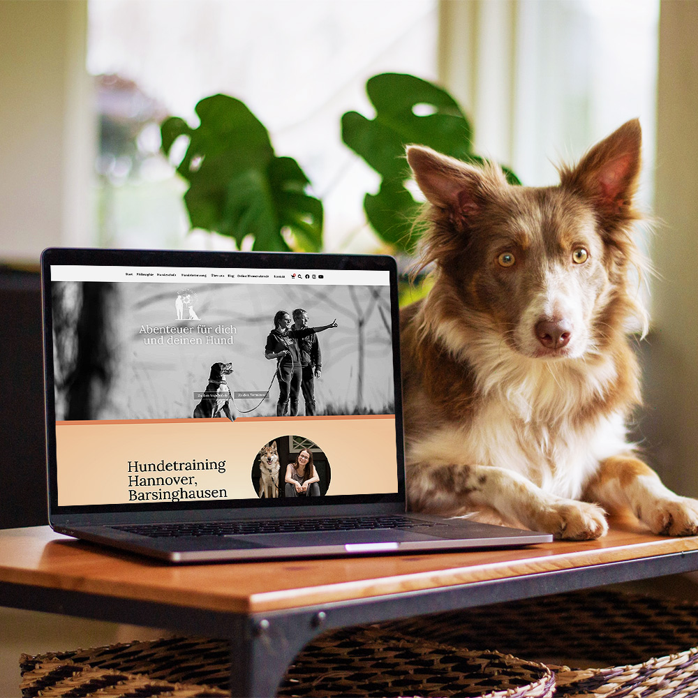 Webdesign Kompass Hund, Webdesign Deutschland