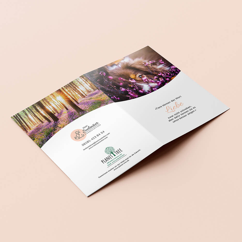 WordPress Website erstellen lassen Mappe2 MeinSeelentier SecondUniverse