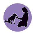 teamwerkstatt mensch hund