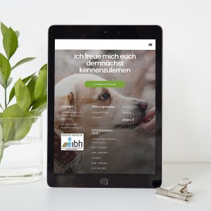 Dream Dogz, responsive Design