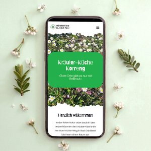 Webdesign2_Korreng_SecondUniverse