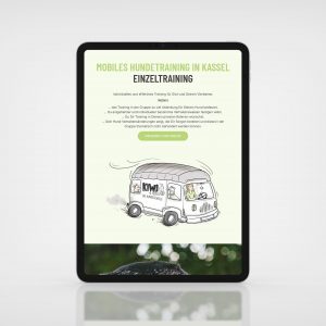 Webdesign_KIWI2_SecondUniverse