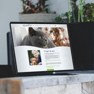 Webdesign Hanau bei Bruchköbel, nahe Nidderau, Schöneck, Büdingen, Erlensee, Langenselbold, Hanau, Birstein, Huf und Pfote