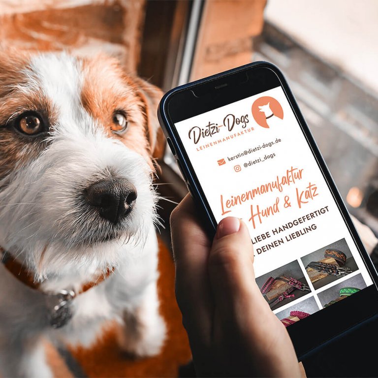 Webdesign für Firmen, Webagentur Bad Orb