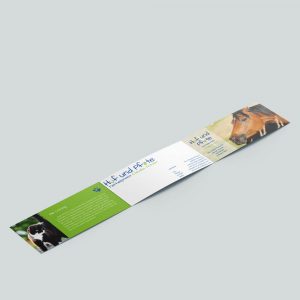 Faltblatt Tierheilpraxis Schien
