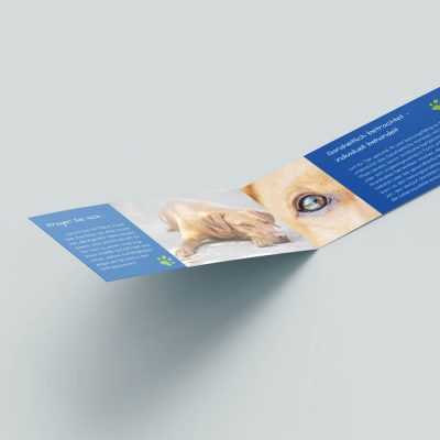 Faltblatt Tierheilpraxis Schien